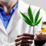 Una herramienta para el autocultivo, la investigación y un uso terapéutico más amplio