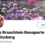 Convirtieron a los desaparecidos en trolls: el día que encontré a mi mamá en Twitter