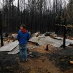 La vida en el incendio: Mis amigos perdieron todo, sus casas, los animales, los autos
