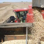 Reducen a cero las retenciones a exportaciones agroindustriales de las economías regionales