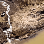 Día Internacional de los Humedales: último llamado para mejorar la vida en el planeta