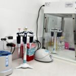 El Incucai cruzó a Milei: “Demuestra un total desconocimiento del funcionamiento del sistema de dona...